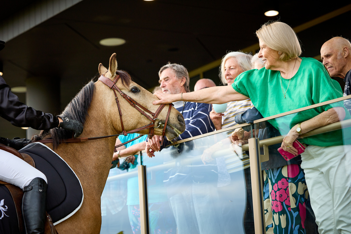 A woman patting a race horse from a balcony 