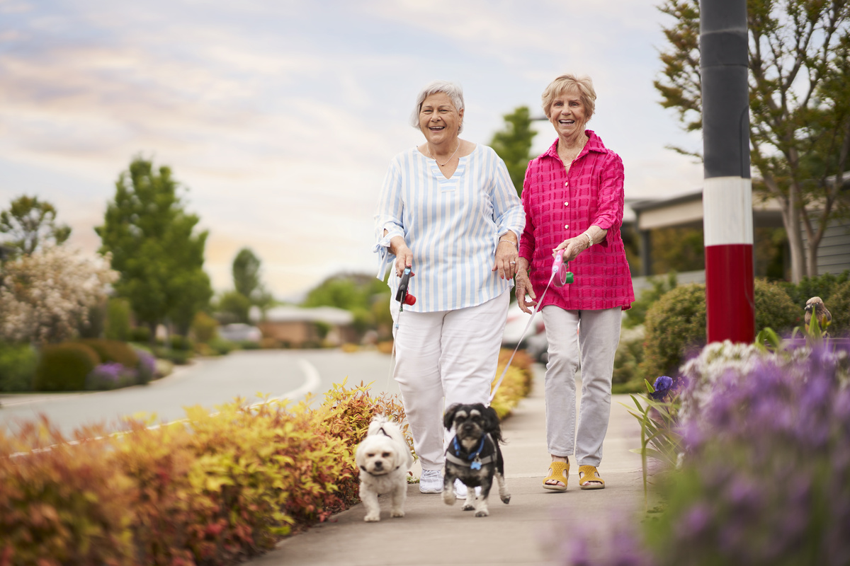 Two retirees enjoy a walk with their dogs at Isabella Gardens retirement village. 