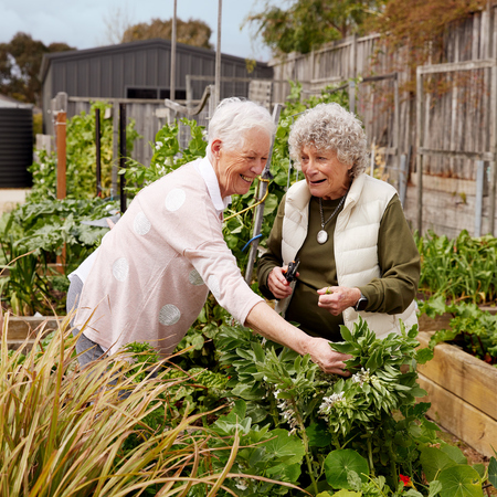Two ladies working in the garden beds at a village