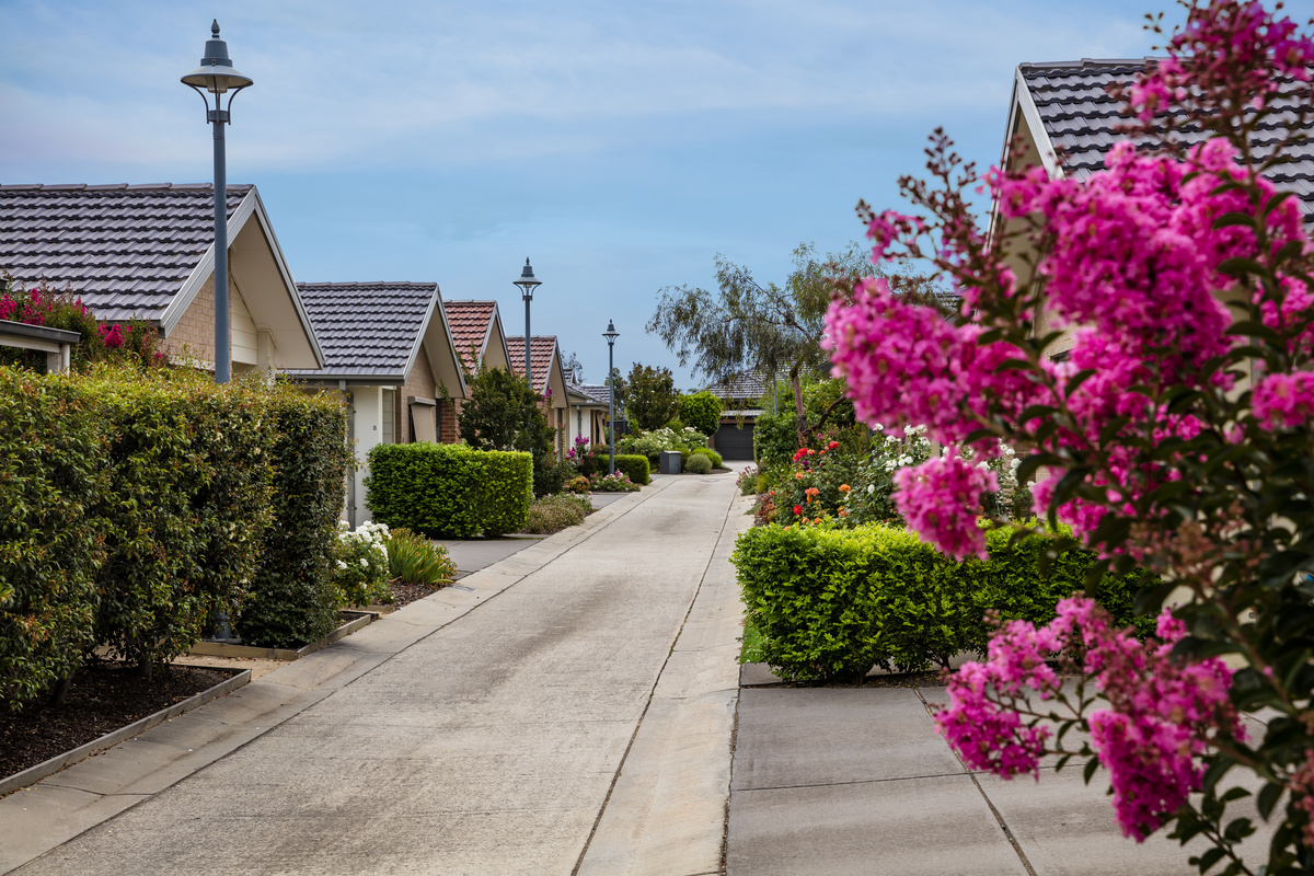 Caesia Gardens village road lined with houses and well kept gardens