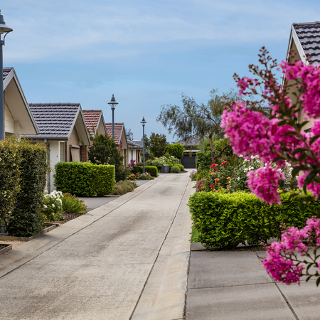 Caesia Gardens village road lined with houses and well kept gardens
