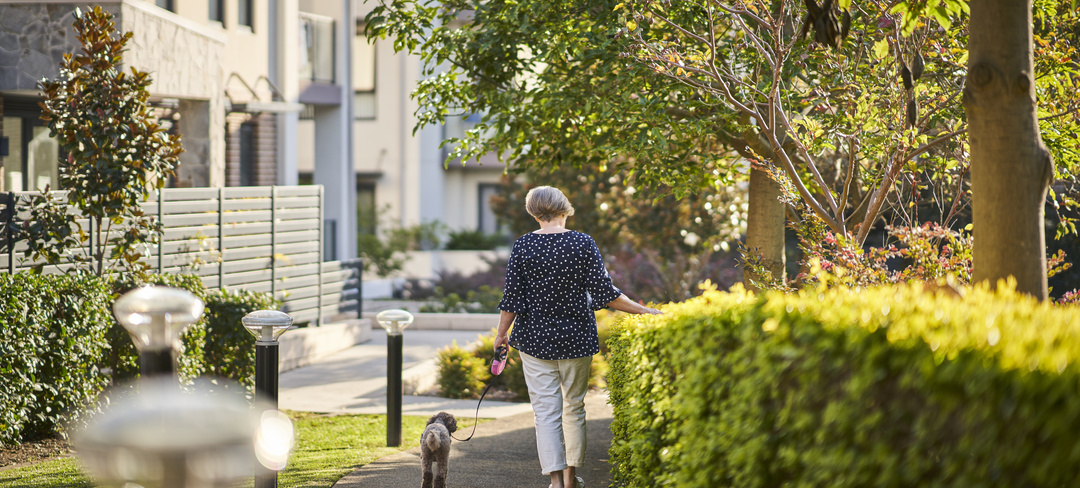 An elderly lady walking her dog outside her retirement village