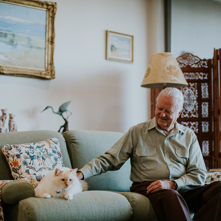 Senior man petting his cat on the couch in pet friendly environment