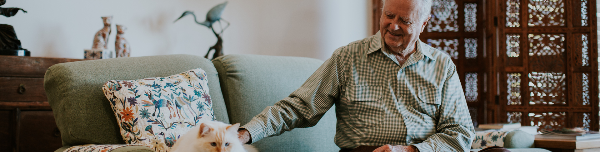 Senior man petting his cat on the couch in pet friendly environment