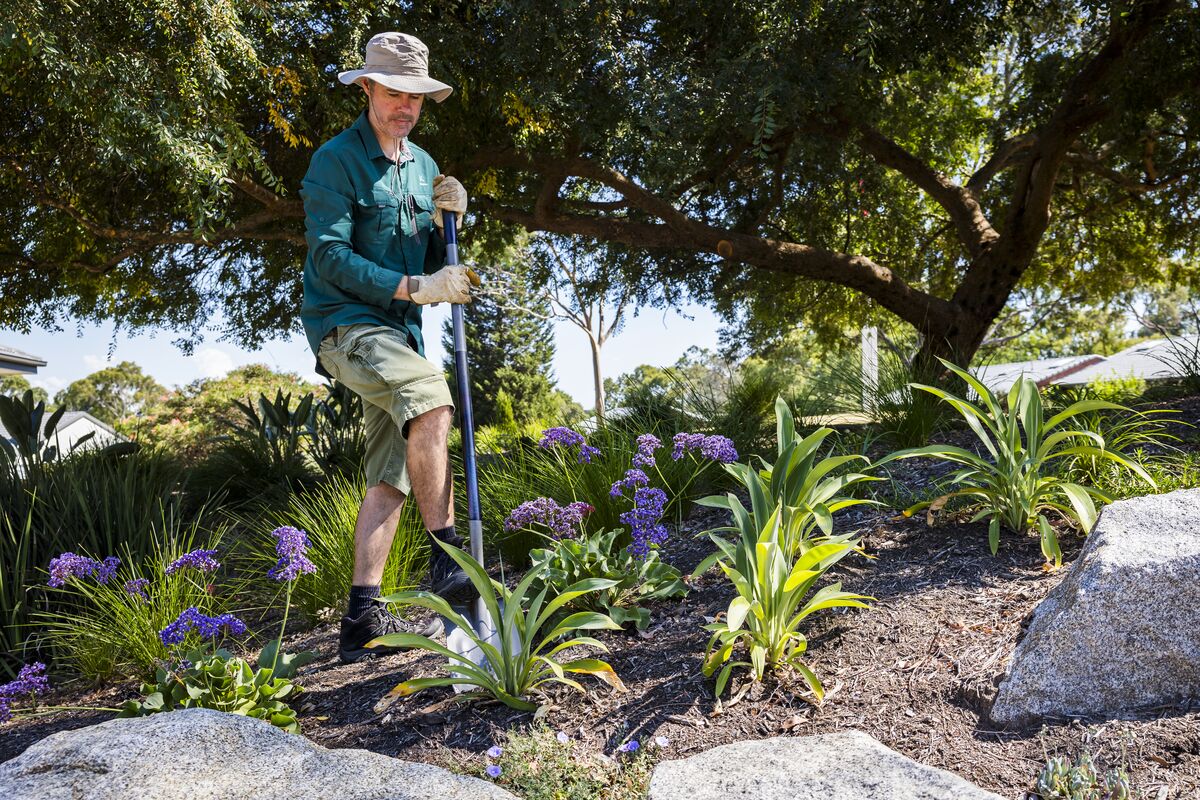 Gardener Troy Urlichs digging in the garden with a shovel
