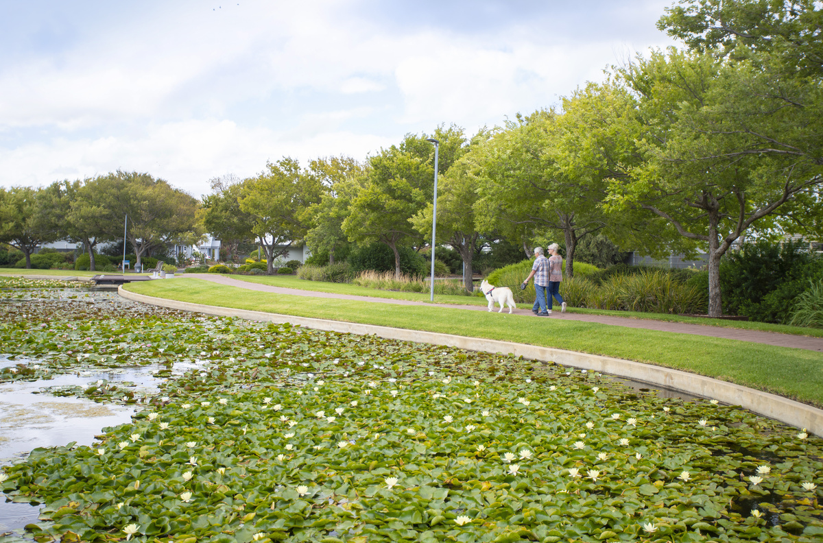 A senior couple walking their dog on a green walking path beside a lake filled with lillies