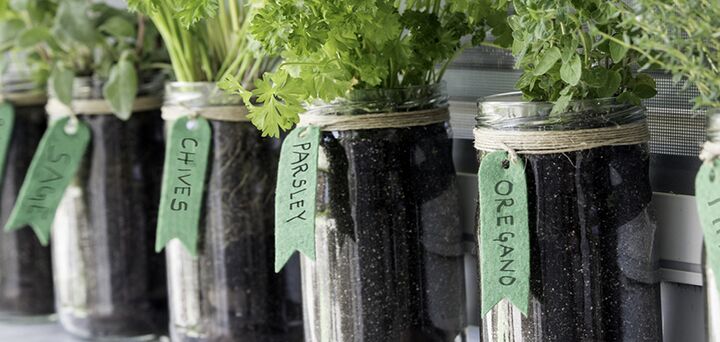 Four glass pots filled with soil have herbs growing out of them. Each has a green herb name label tag tied around the neck of the pot with twine. 