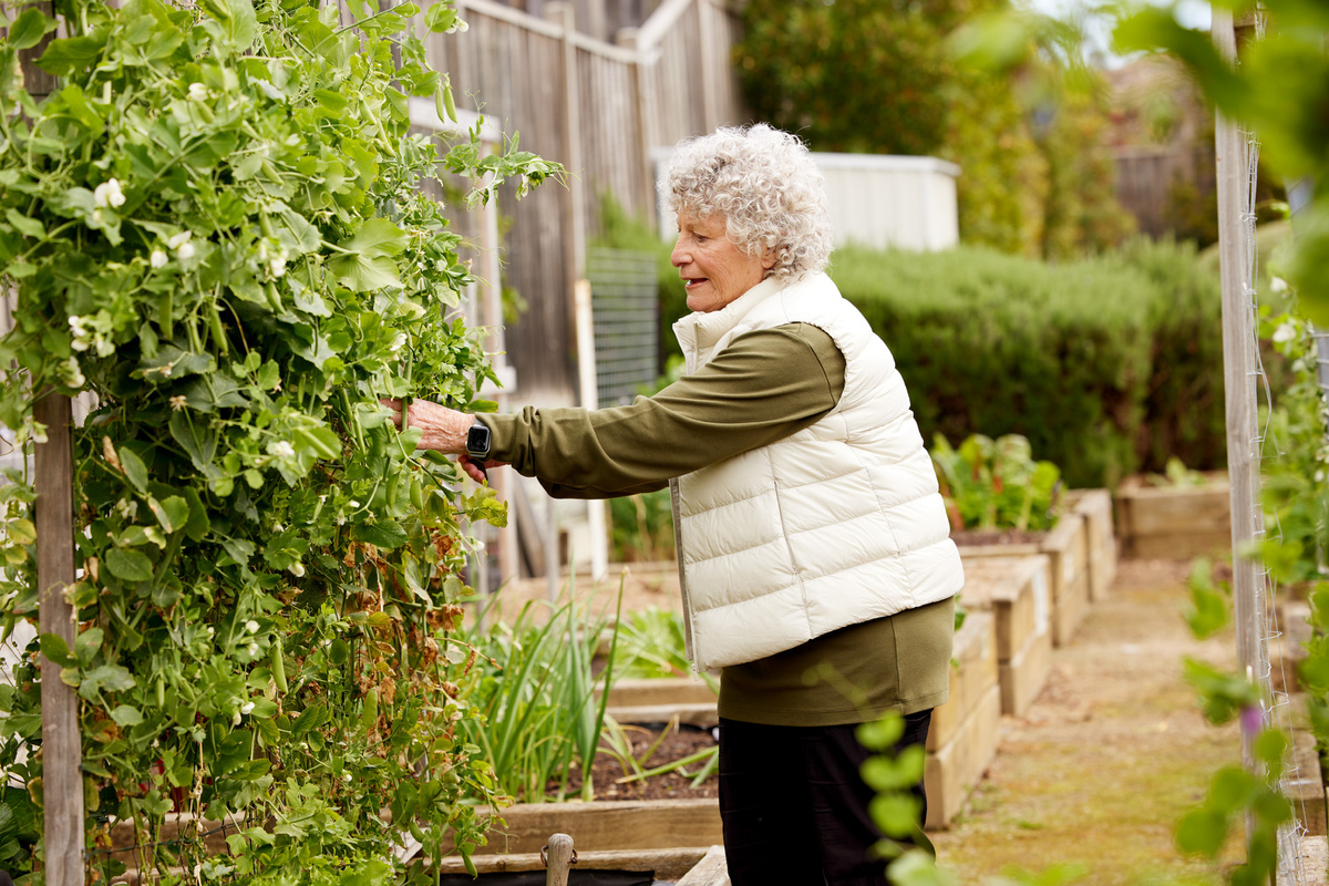 MAPV Marthas Point Resident Gardening