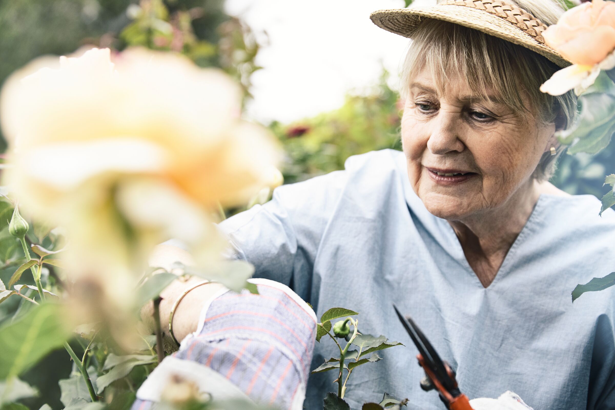 Senior lady doing some gardening