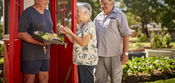 A group of seniors standing in front of a telephone booth turned into a vegetable garden shed.