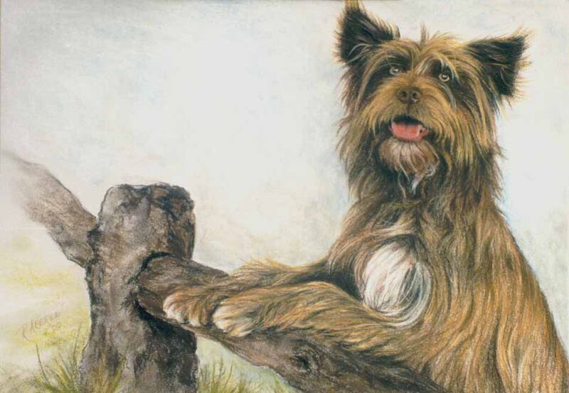 painting of a dog done by Elliot Garden resident