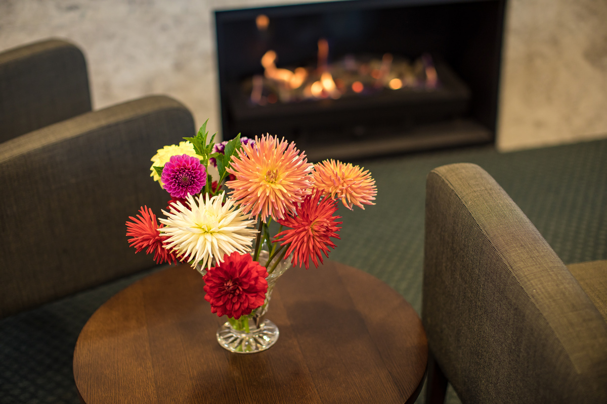 ABRA - Abervale Village - Village Photography Flowers and Fire