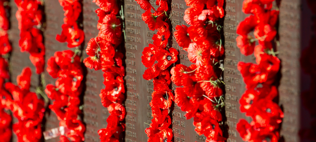 A wall of poppy flowers at a war memorial for ANZAC day
