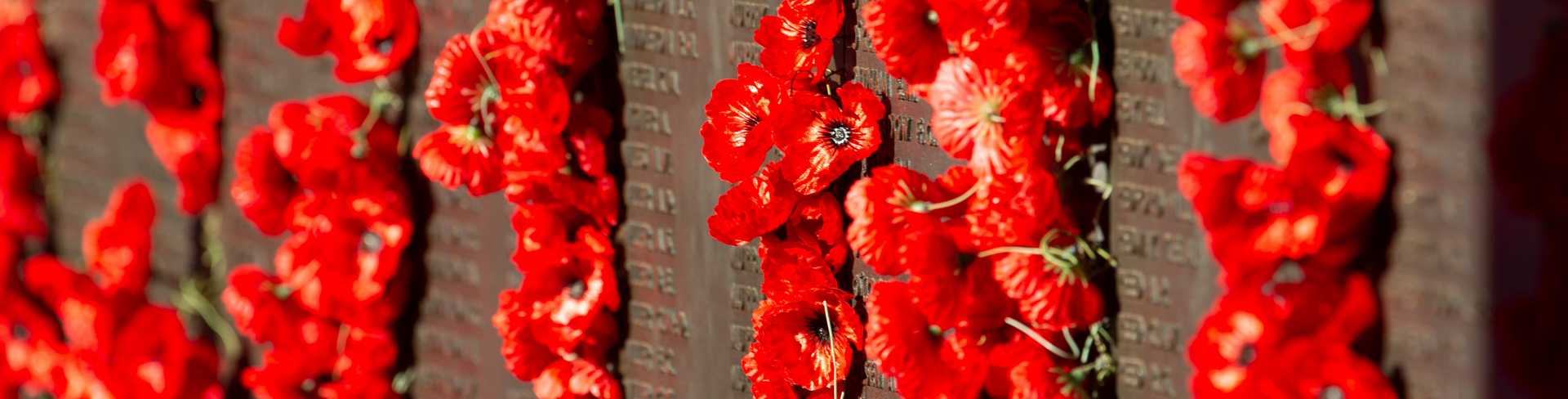 A wall of poppy flowers at a war memorial for ANZAC day