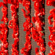 A wall of poppy flowers at a war memorial for ANZAC day