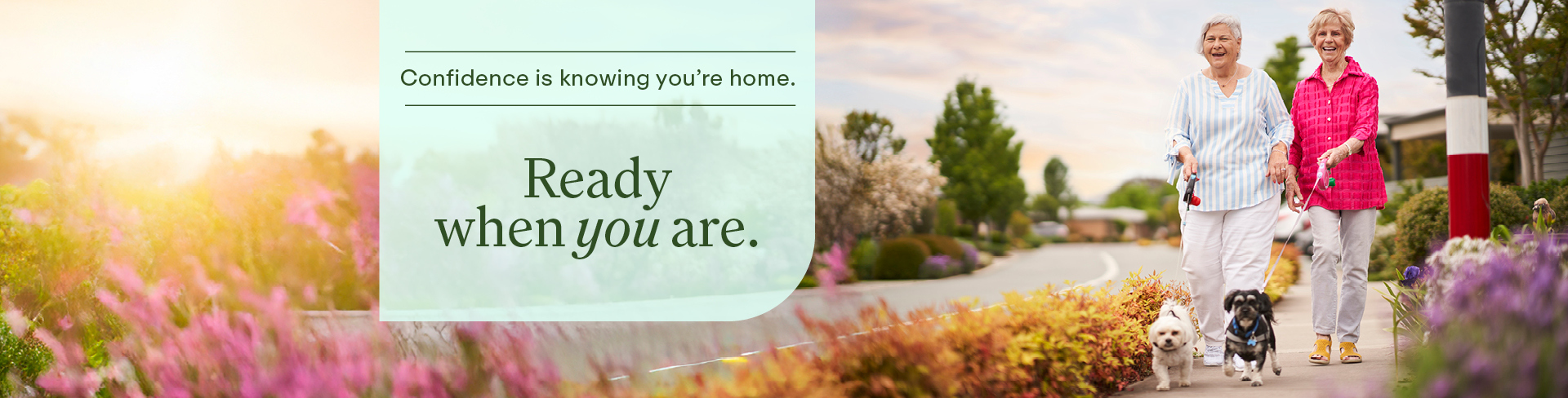 Two female companions walking a dog in a lush autumnal setting