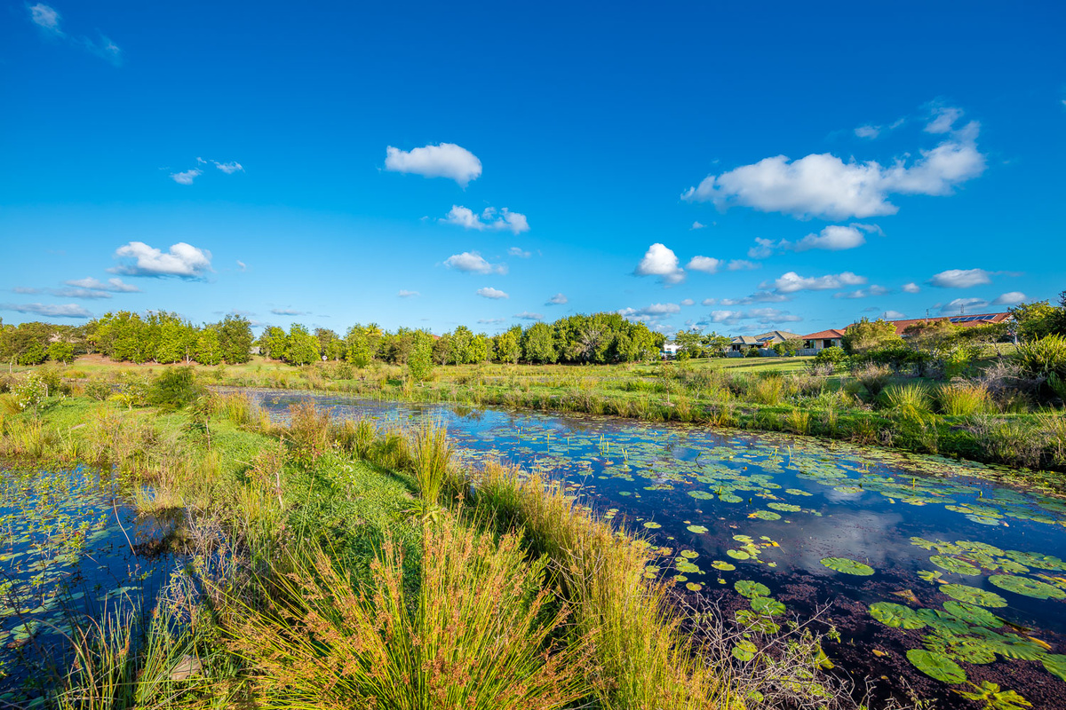 Bellflower Lake
