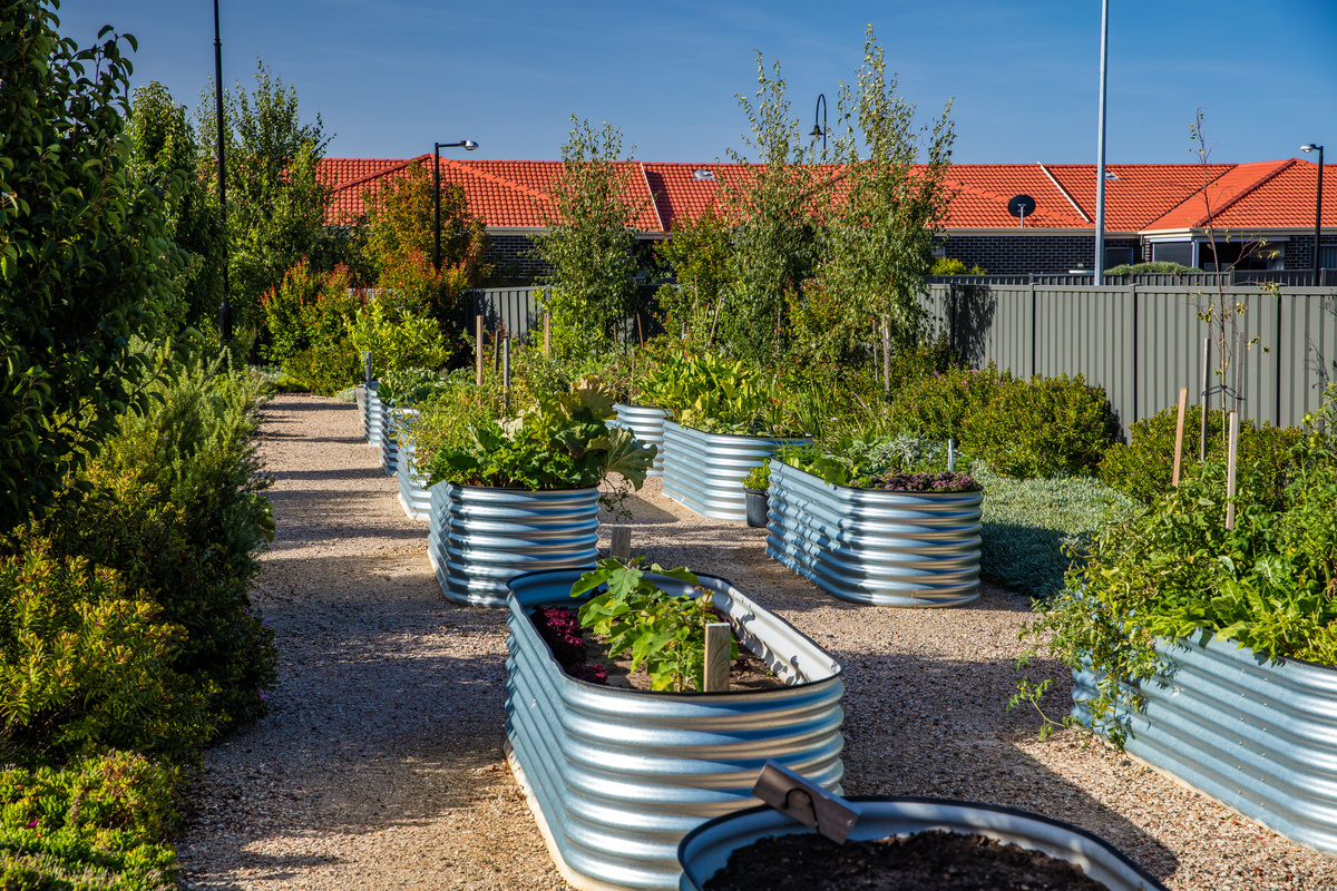 Windsor Park Raised Garden Beds