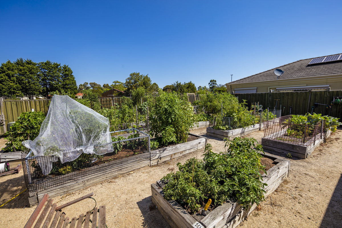 Waterford Valley Lakes Raised Garden Beds