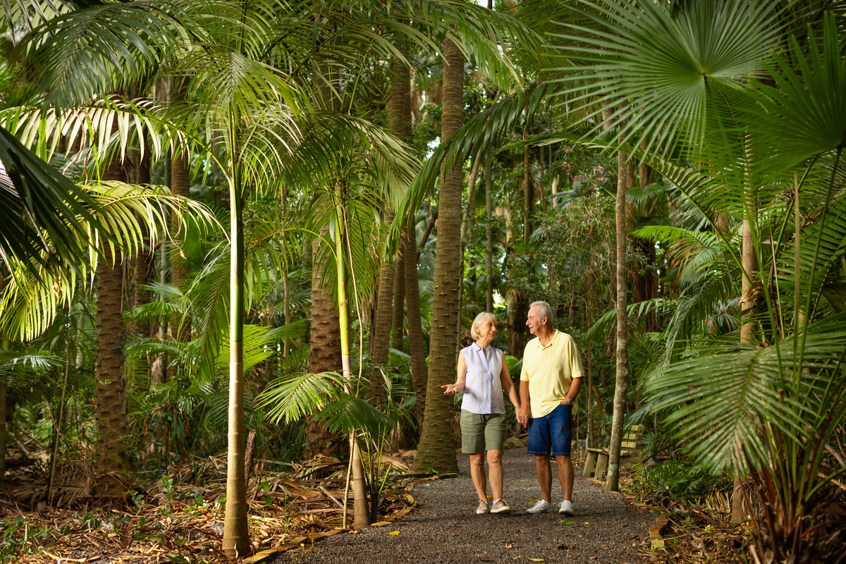 Buderim Gardens Rainforest Walk