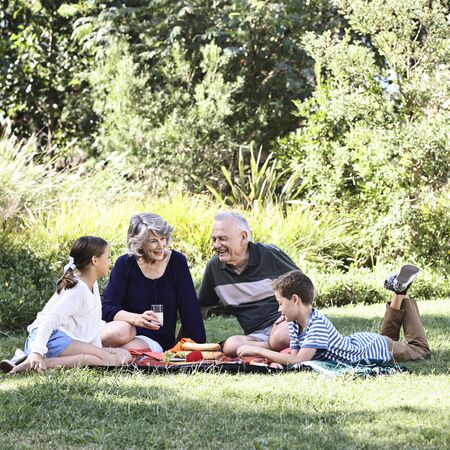 Grandparents having a picnic with grandchildren on the grass
