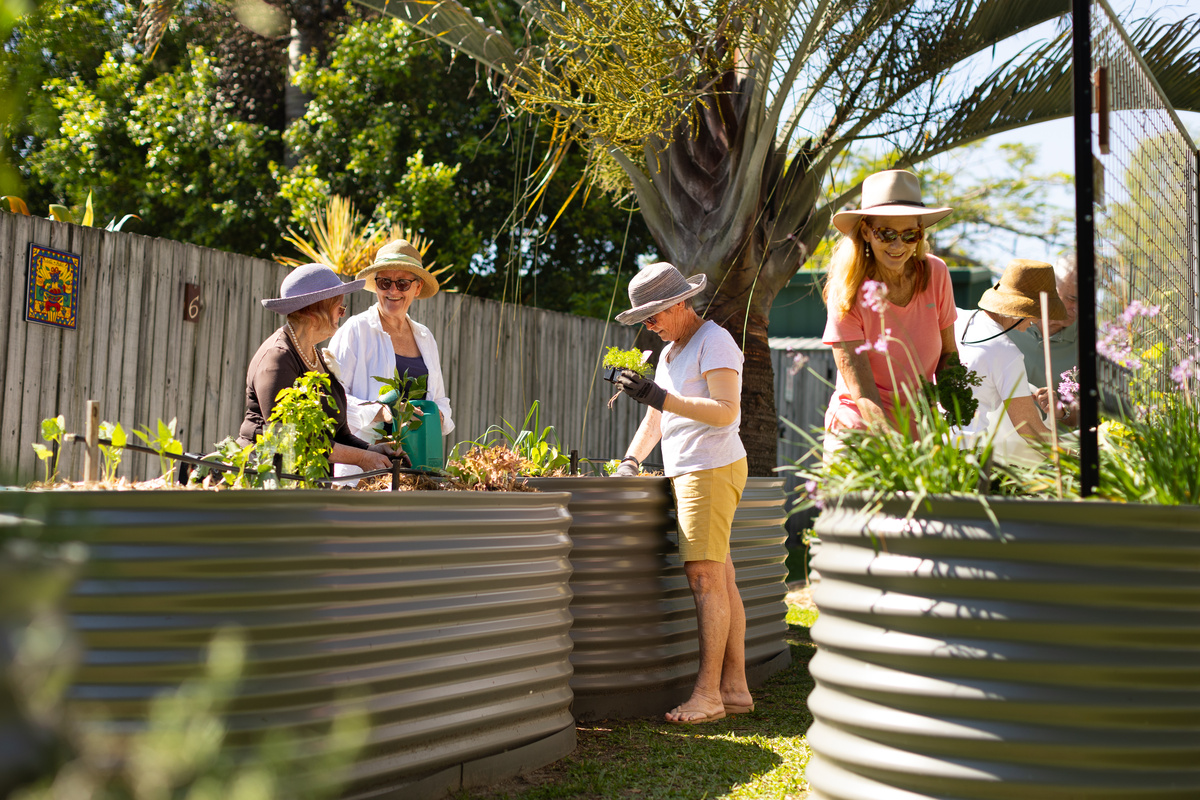 Chancellor Park - Community Garden