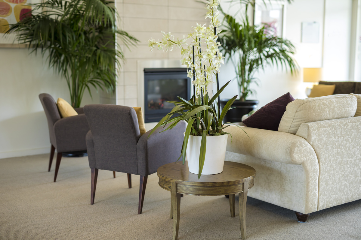 Caesia Gardens lounge area with fireplace