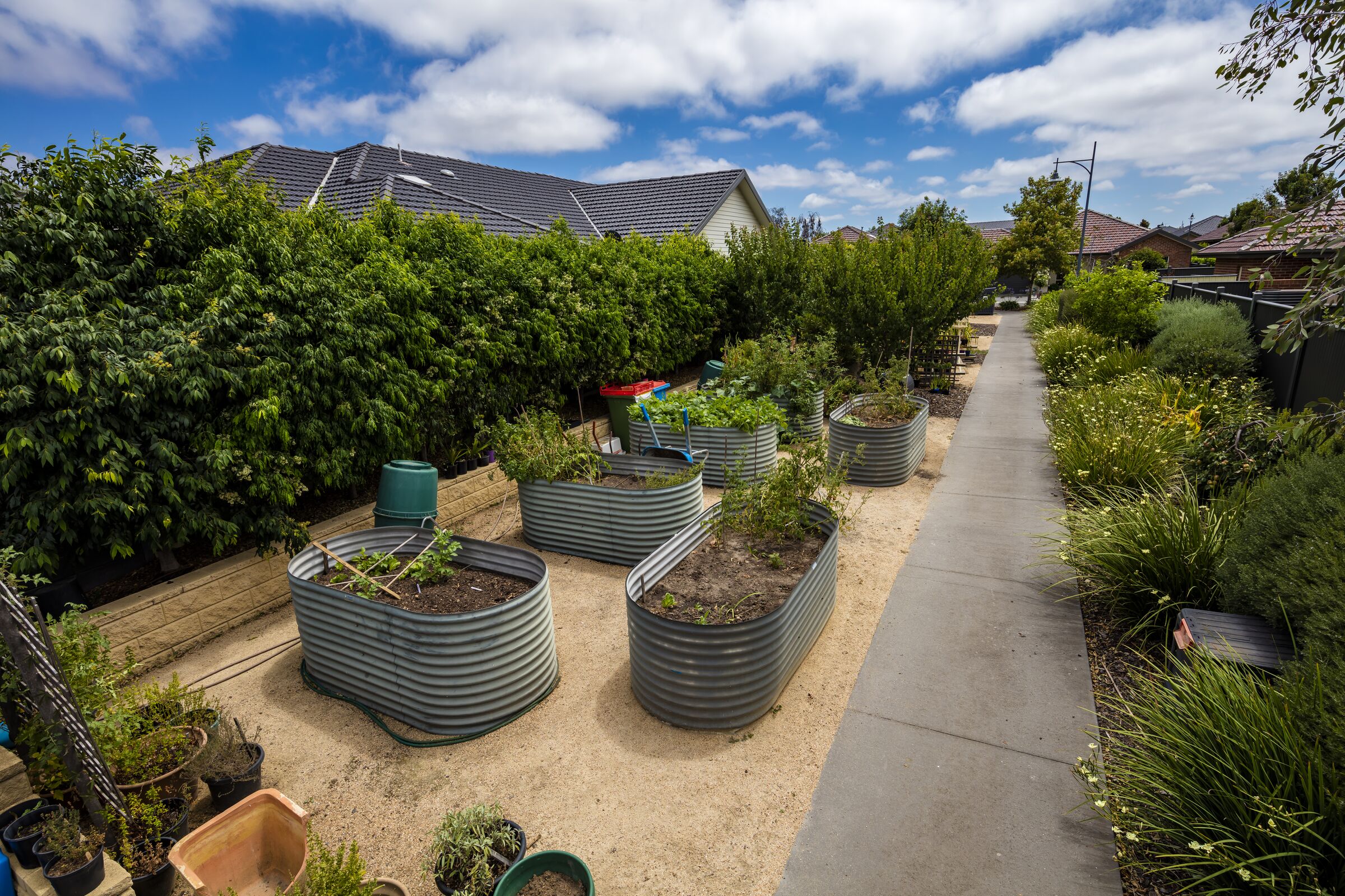 Caesia Gardens raised garden beds