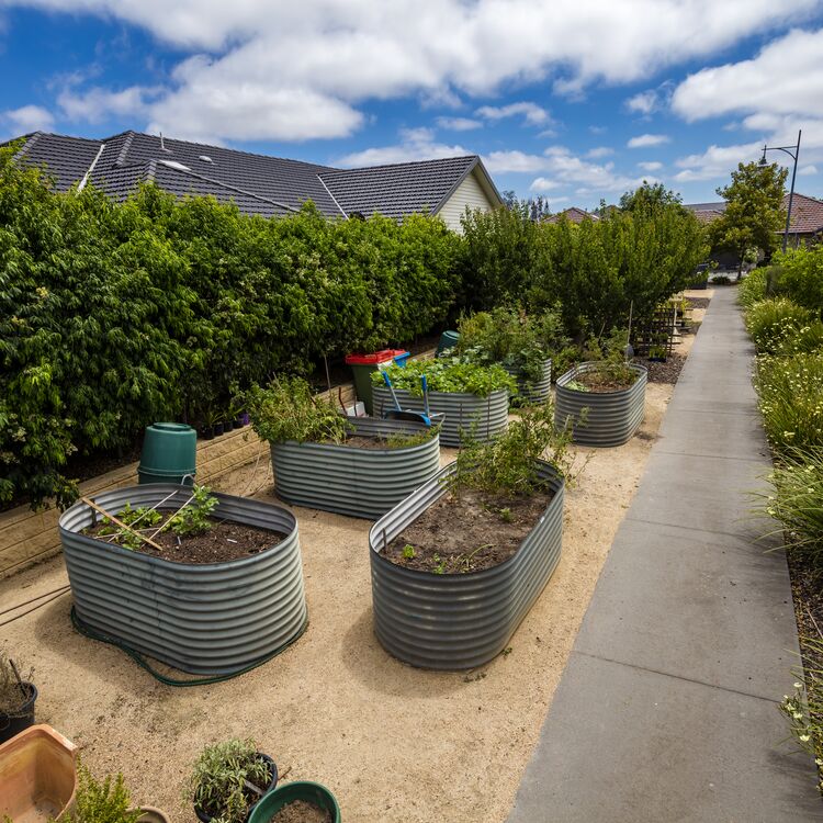 Caesia Gardens garden beds grow your own groceries blog