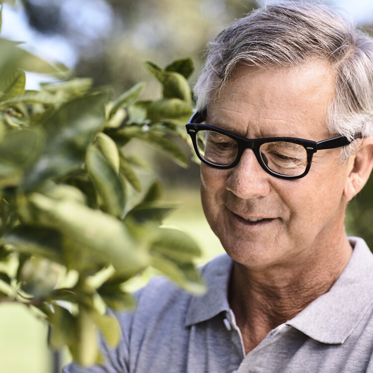 Close up image of man with glasses looking at tree leaves