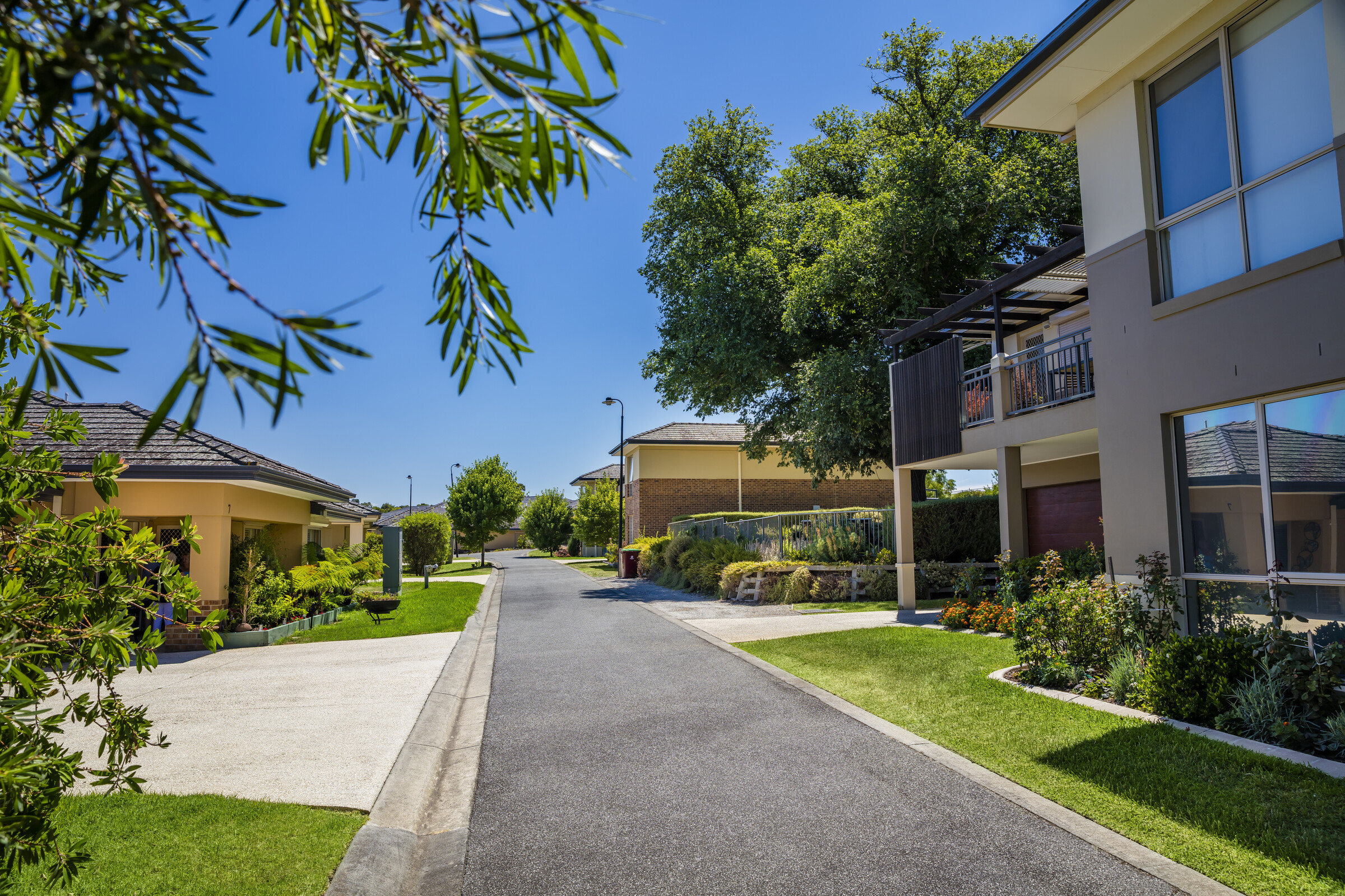 Woodlands Park village roadway lined with homes, trees, gardens and lawns