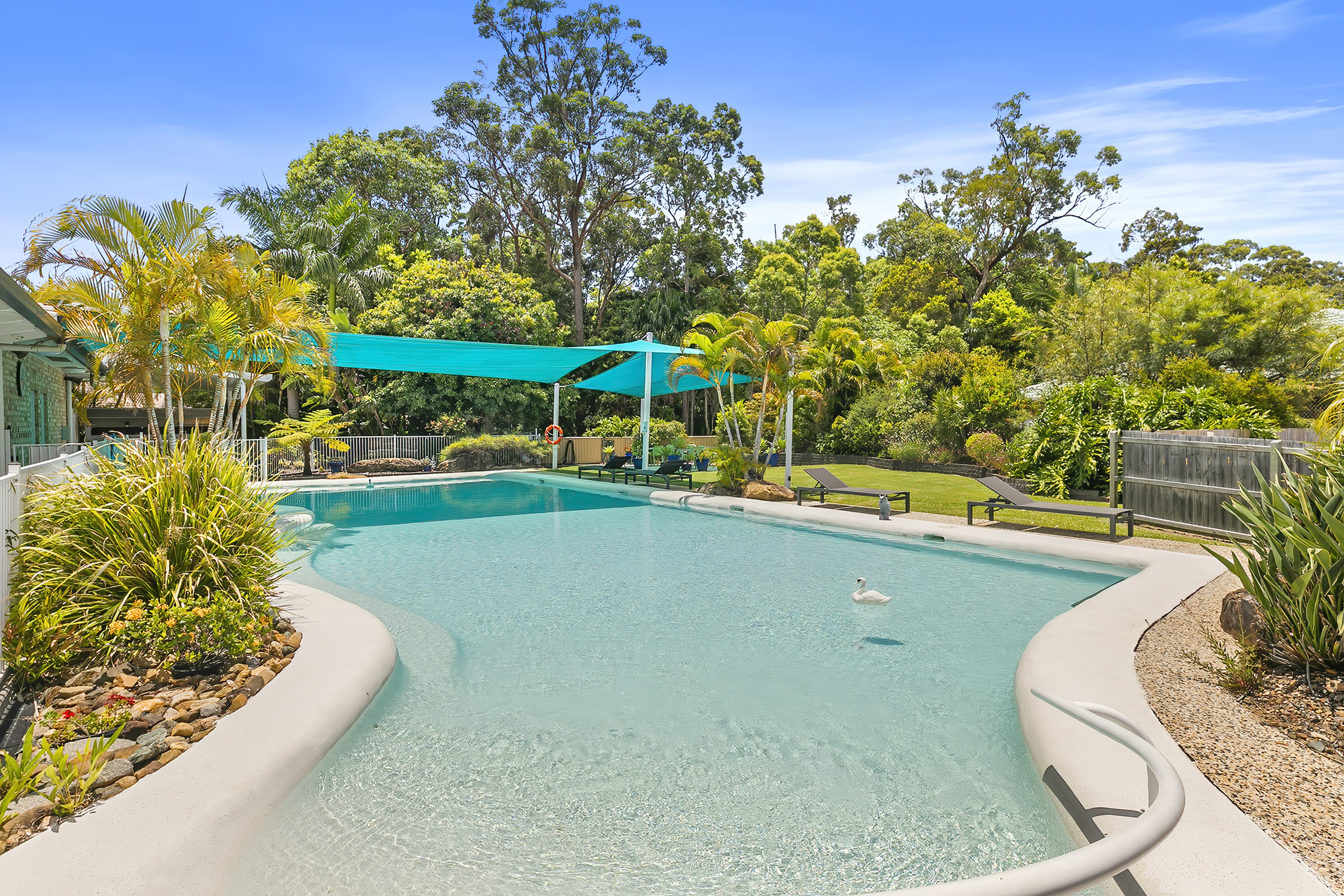 BUMV - Hibiscus Buderim Meadows Pool