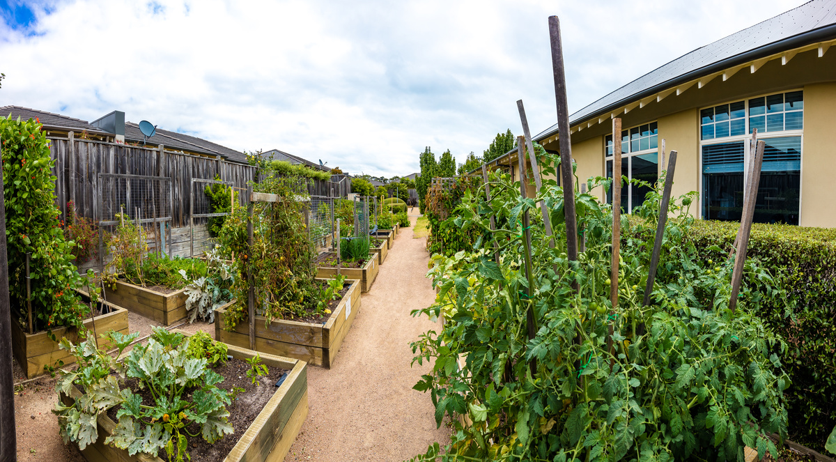 Martha's Point raised garden beds