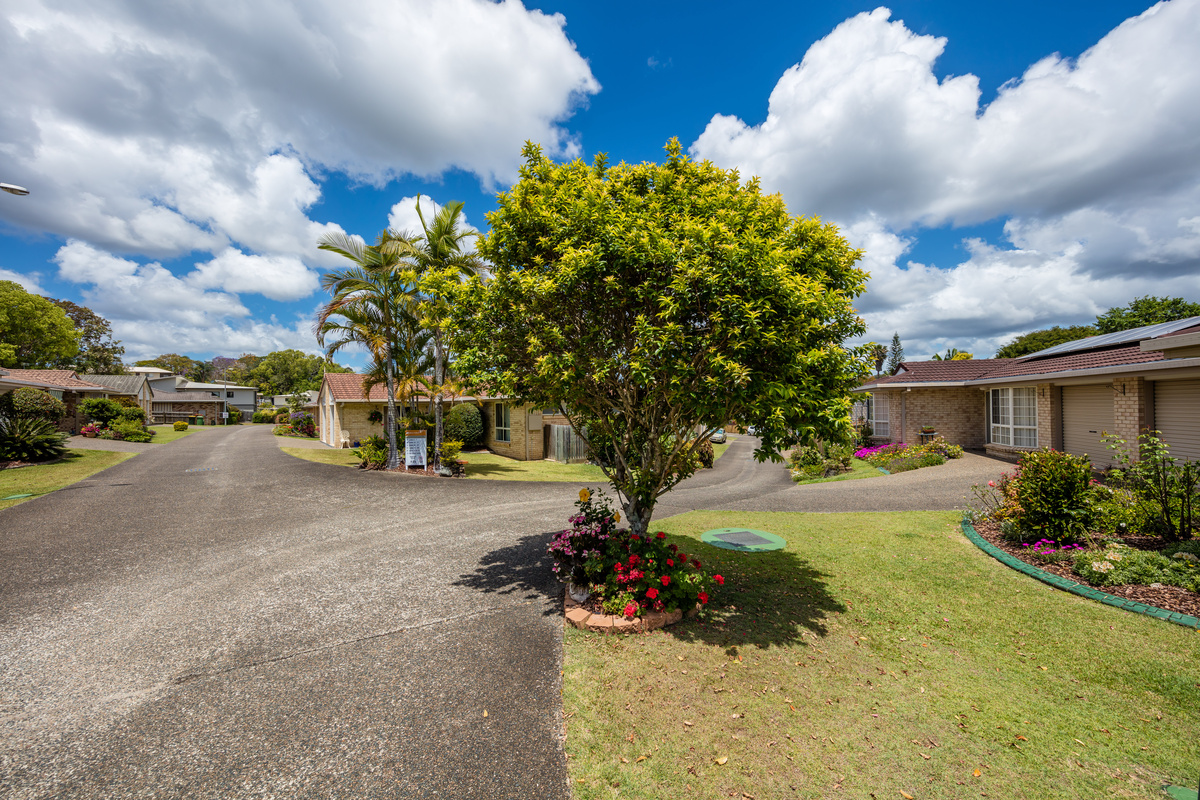 NAMV - Hibiscus Nambour - Village Photography Streetscape