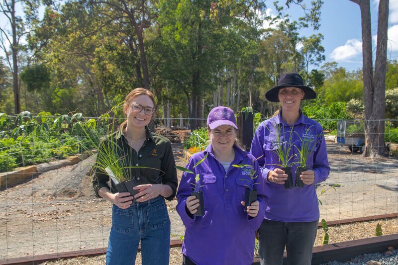 Three women holding plants