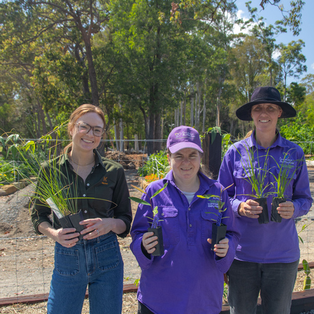 Three women holding plants and smiling at the camera