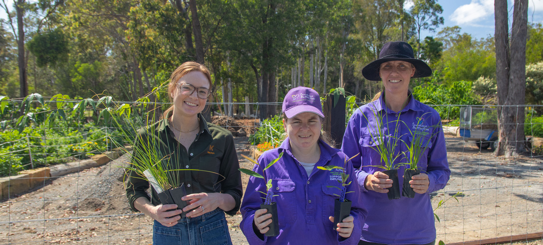 Three women holding plants and smiling at the camera